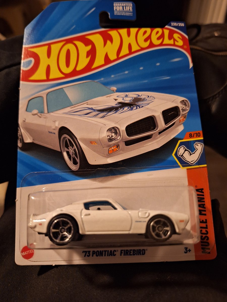 2025 Hot Wheels '73 Pontiac Firebird