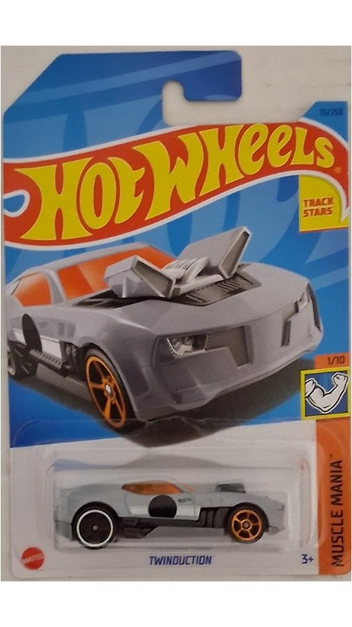 2023 Hot Wheels Twinduction