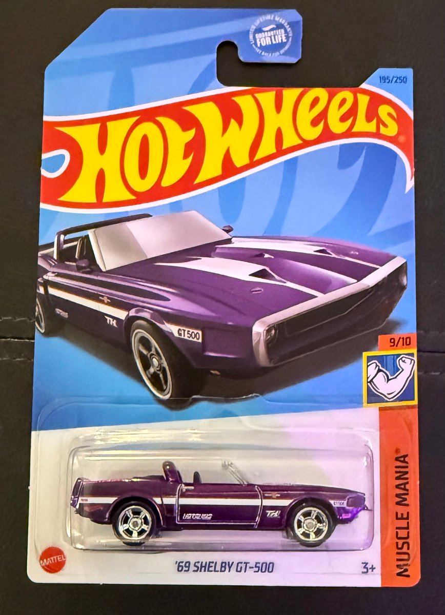 2023 Hot Wheels '69 Shelby GT-500 (Super Treasure Hunt)